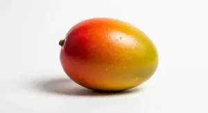 マンゴーで香る！手作りパンの極上レシピ｜発酵・水分・焼きのコツまで徹底解説_4